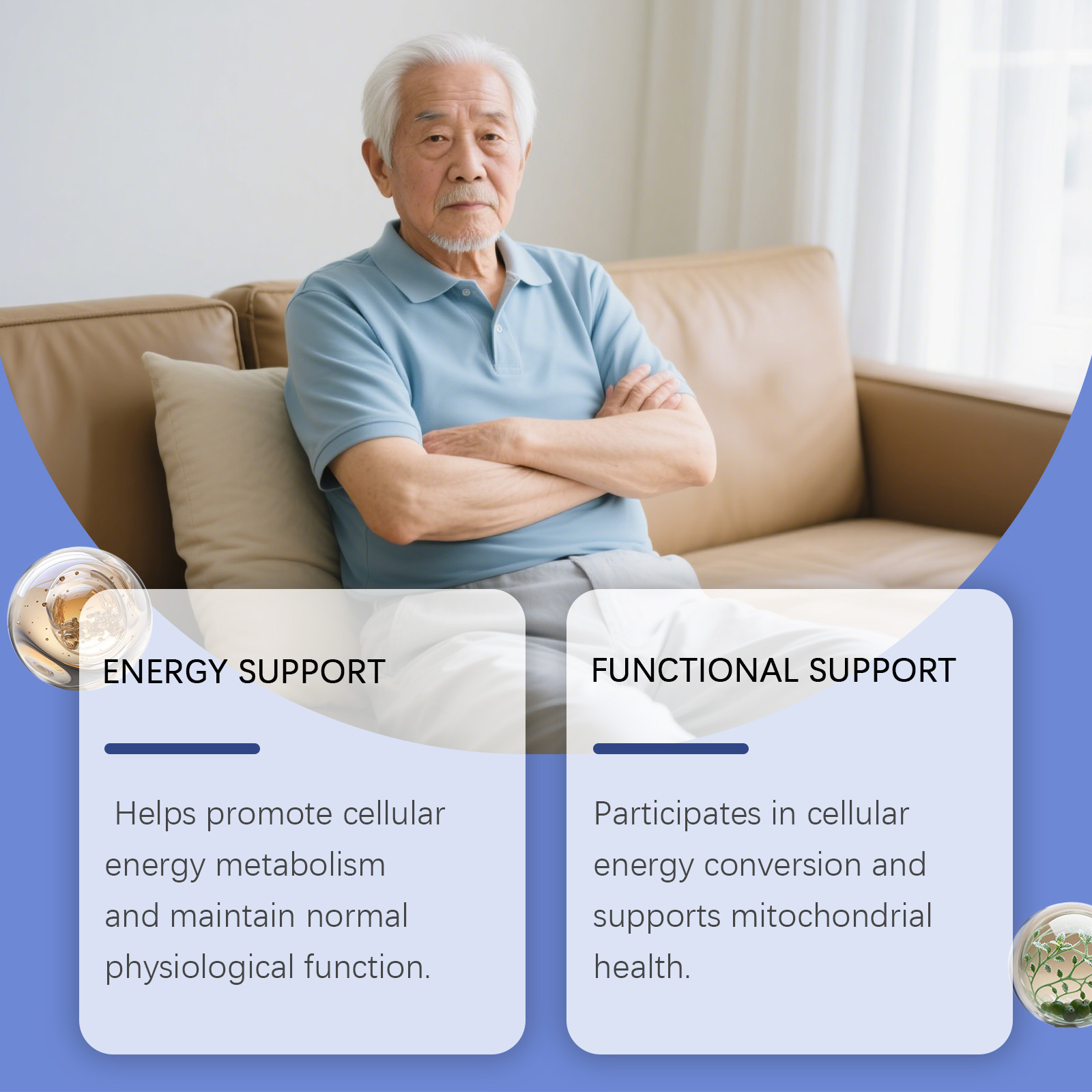 หยดเสริมพลังช่วยกระตุ้นการเผาผ - Nutrition Fitness And Health บทวิจารณ์และราคา
