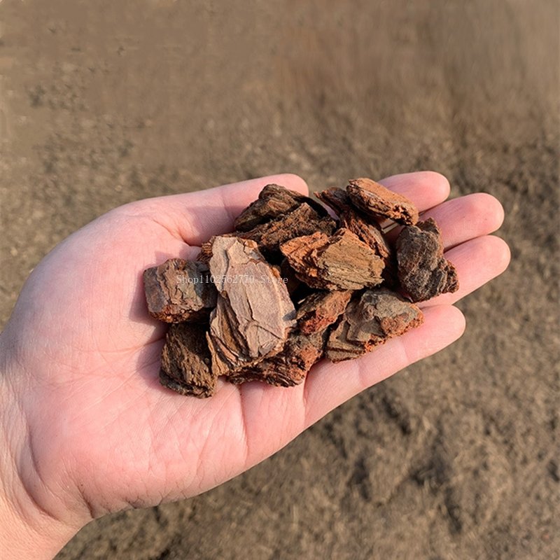 500g หมัก Pine Bark ธรรมชาติ B - Roots Nutrition & Fitness Inglewood Photos บทวิจารณ์และราคา