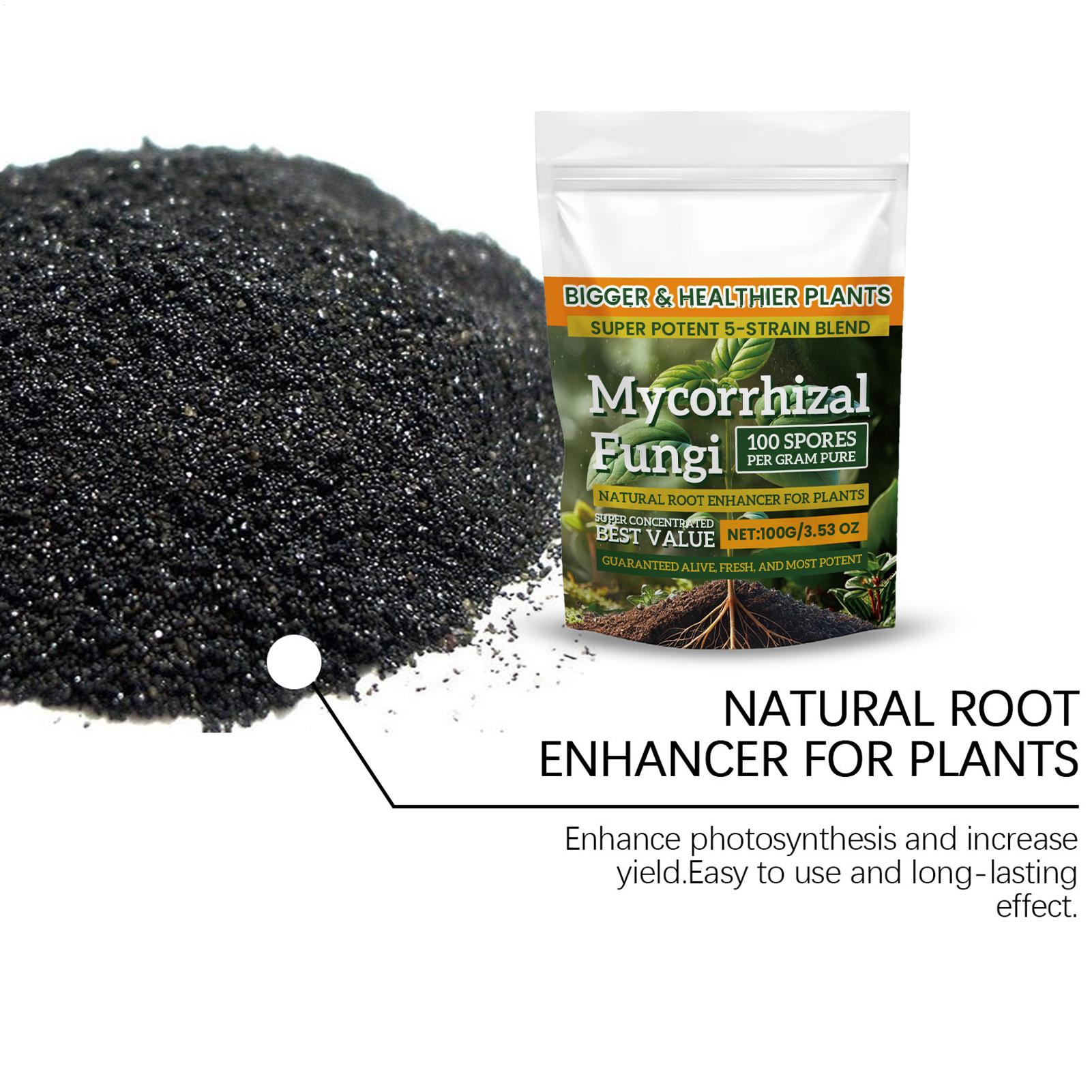 ผงบำรุงราก 100 กรัม สูตรโภชนาก - Roots Nutrition & Fitness Inglewood Photos บทวิจารณ์และราคา