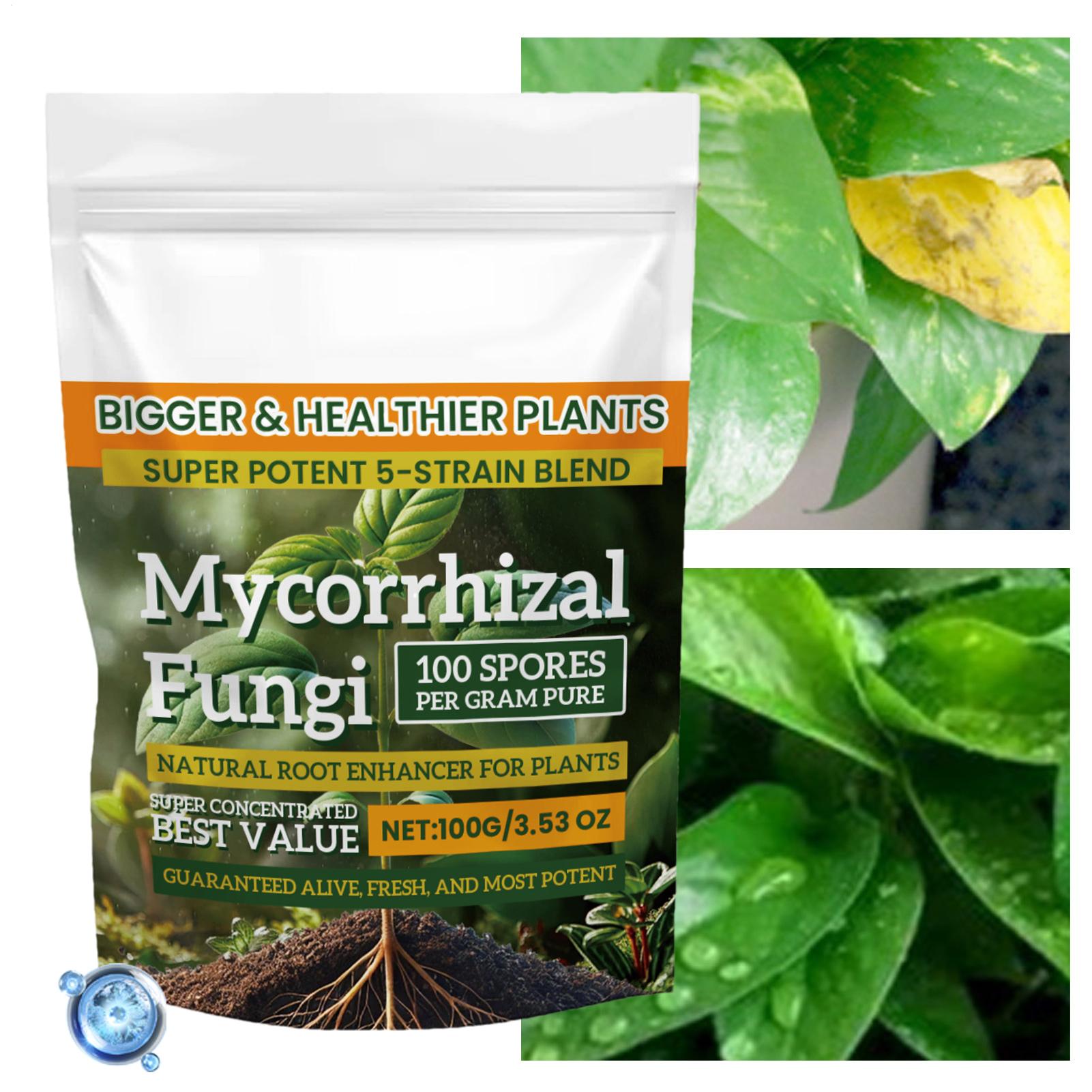 ผงบำรุงราก 100 กรัม สูตรโภชนาก - Roots Nutrition & Fitness Inglewood Photos บทวิจารณ์และราคา